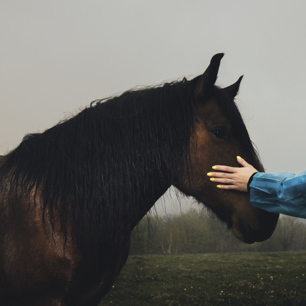 Touch of a trust  by Marko Radovanovic
